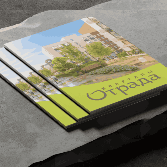 Презентация проектов